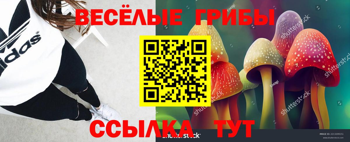 Псилоцибиновые грибы мицелий  Вход с VPN  Мирный  Галлюциногенные грибы Magic Shrooms 